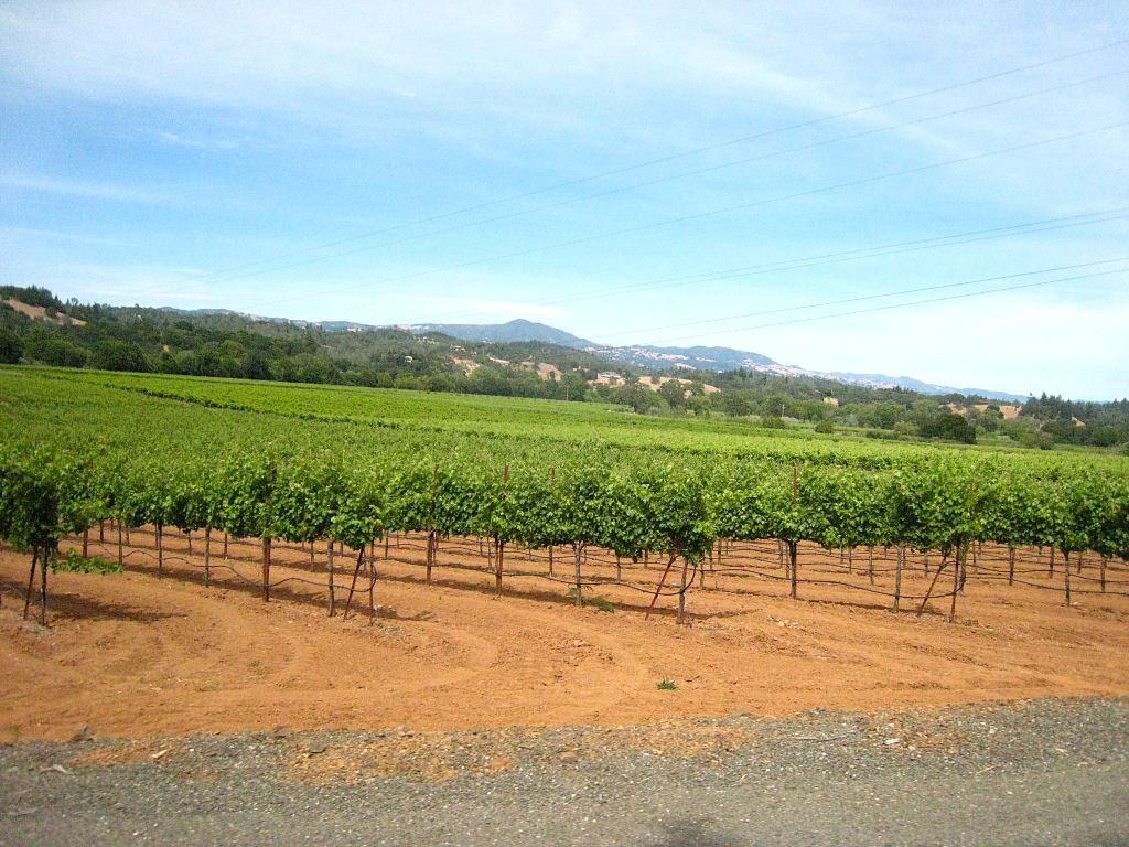 Dry Creek road cycling path in Sonoma County, CA