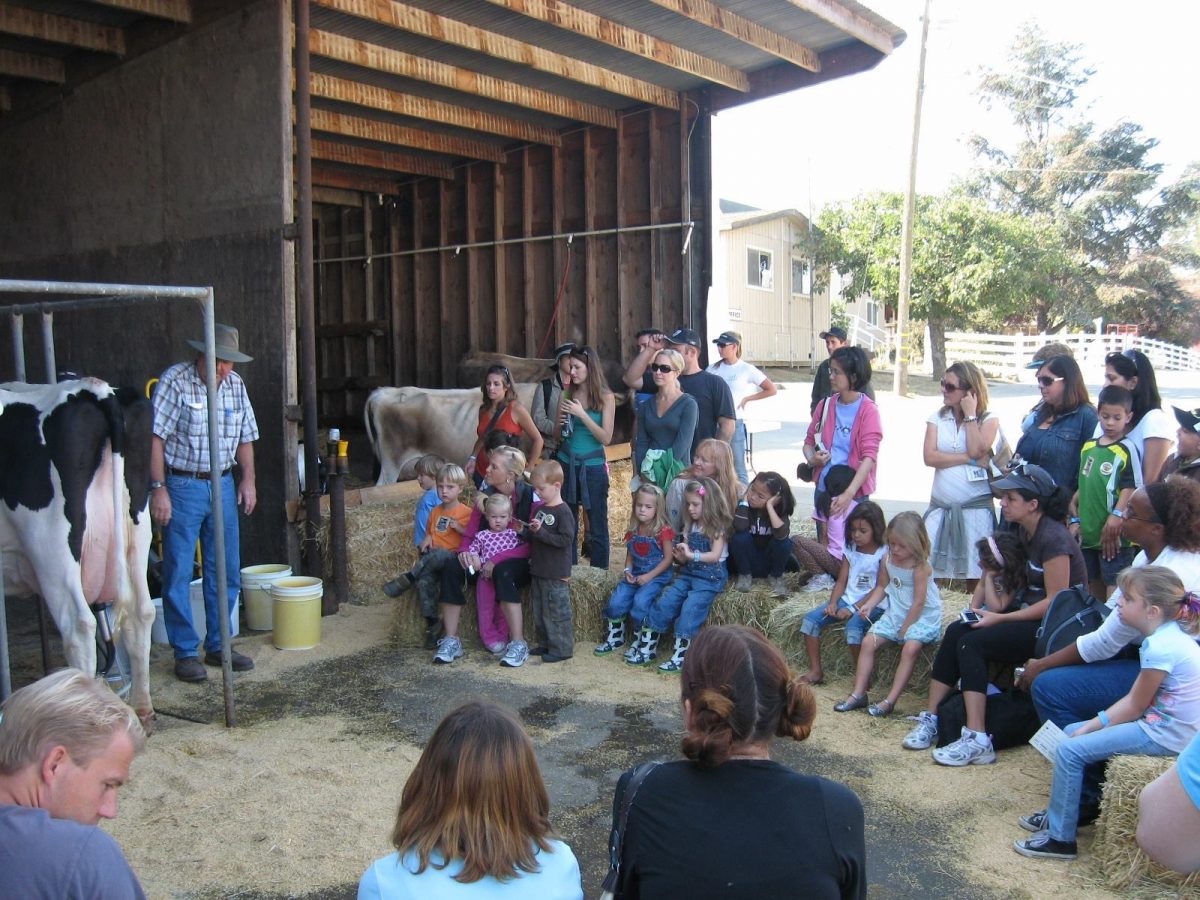 Farm tour of the McClelland Dairy Farm in Petaluma, CA