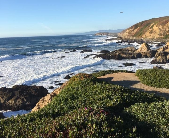 Bodega Head Trail in California